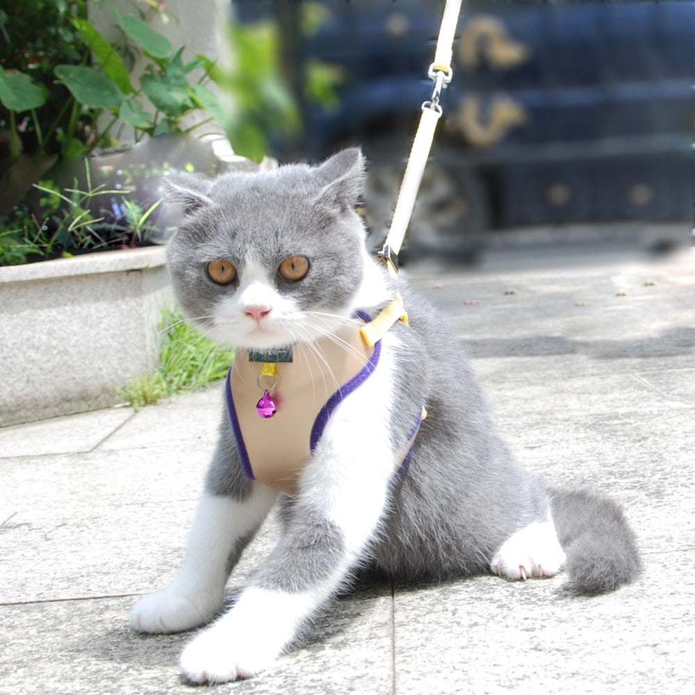 Pet Cat Harness Vest Leash