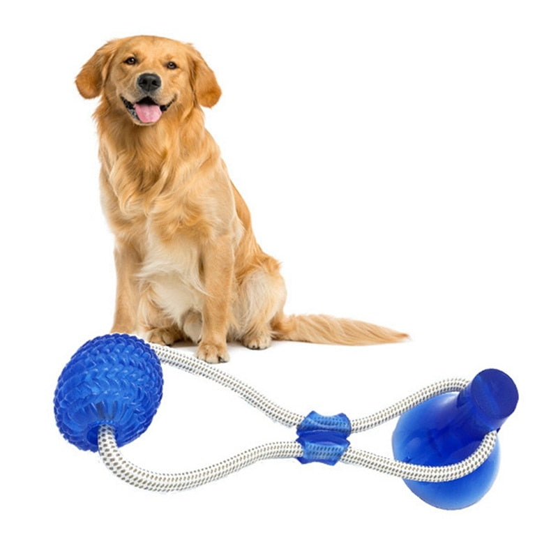 Dog Cup Suction Push Ball Toys