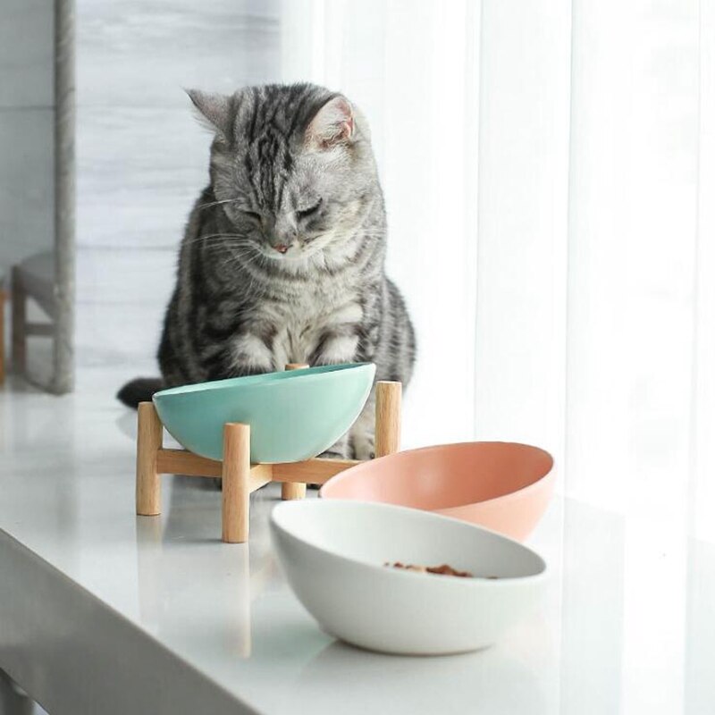 Newest Design Ceramic Cat Food Bowl