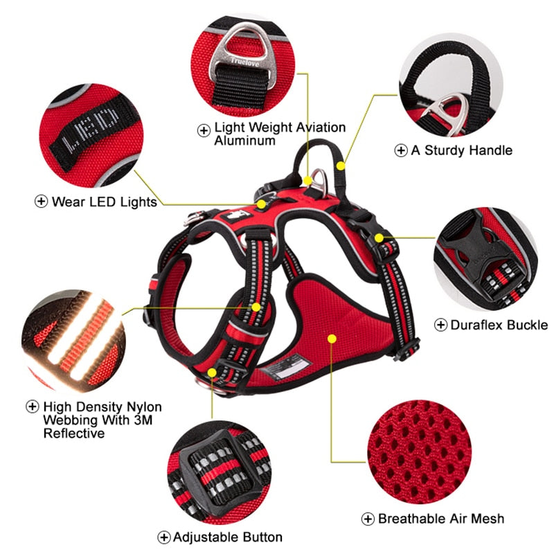 Vehicle Dog Harnesses