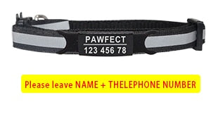 Reflective Cat Safety Buckle Collar