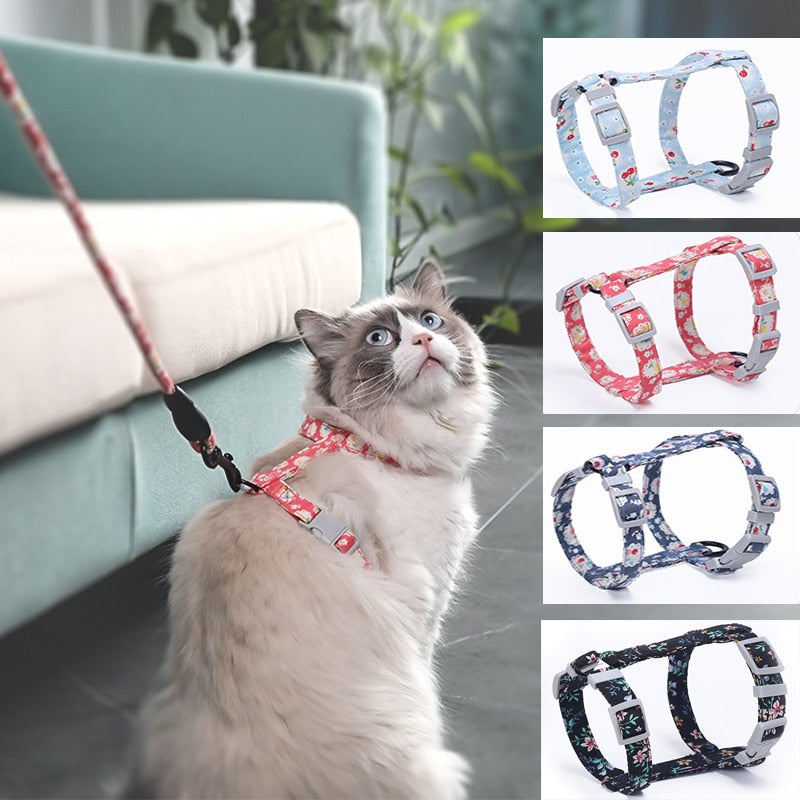 Dog Collar Harness Leash