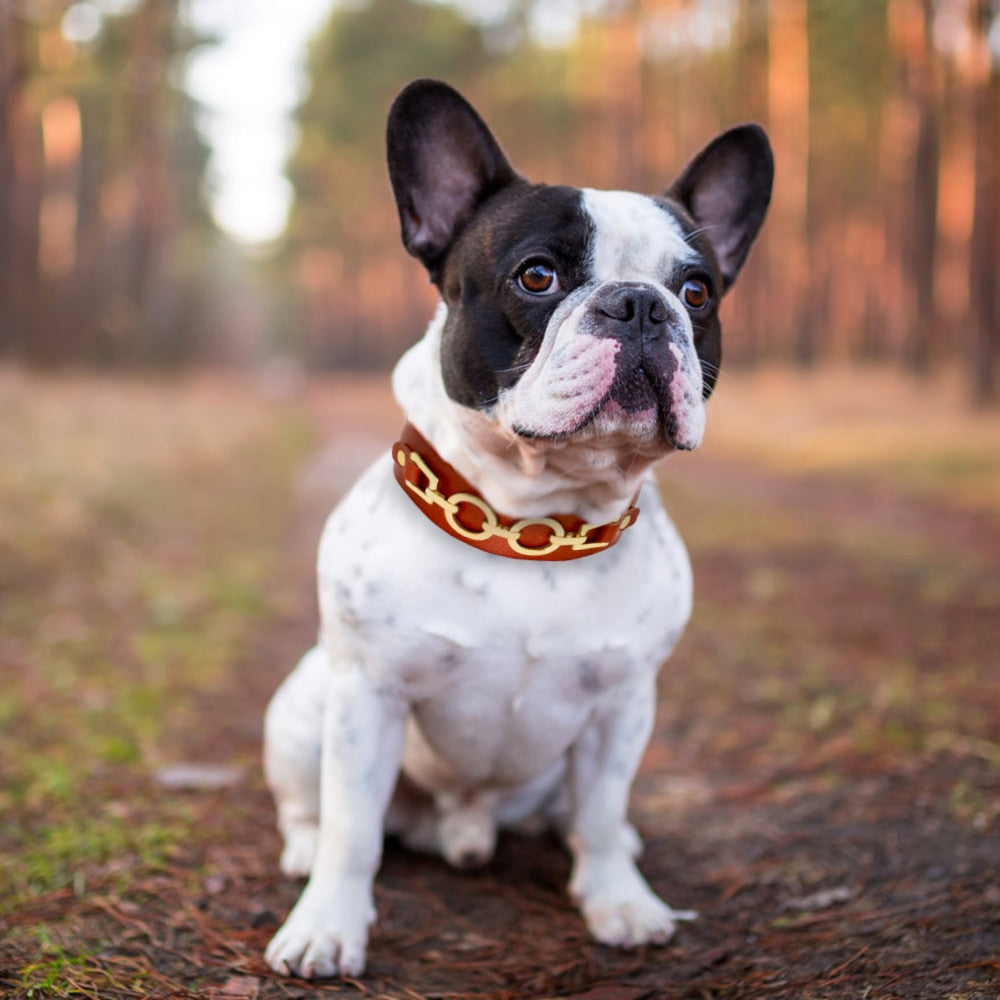 Durable Real Leather Dogs Collars