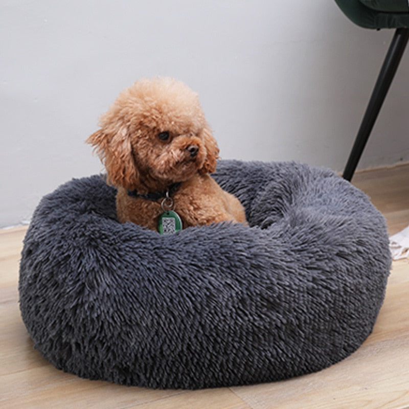 Comfy Calming Dog Bed