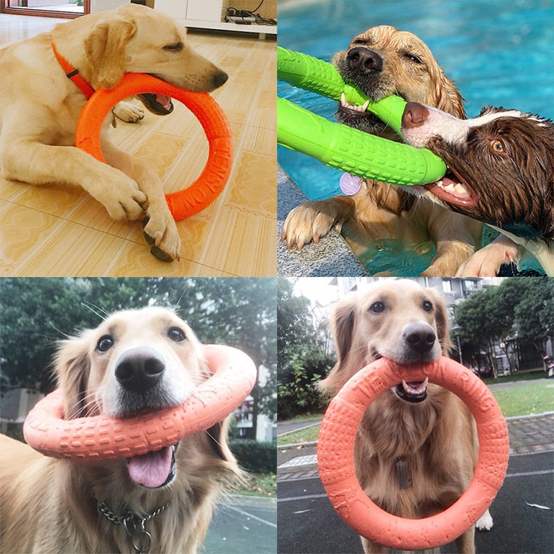 LaRoo Dog Training Ring for Floatable Outdoor Fitness Dog Flying Disc Dog  Tug Toy Interactive Dog Toys for Small Medium Large Dogs