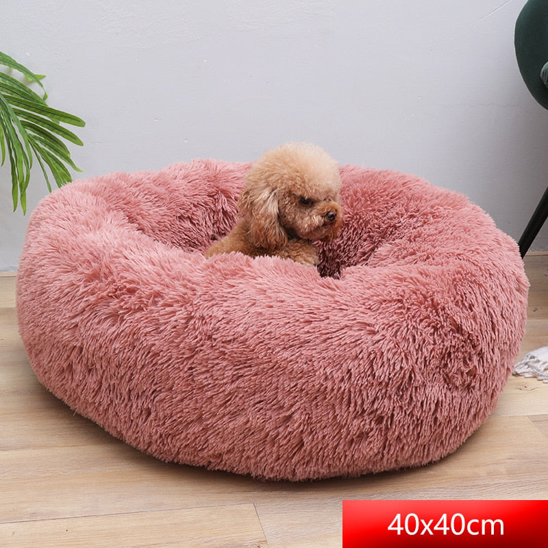 Comfy Calming Dog Bed