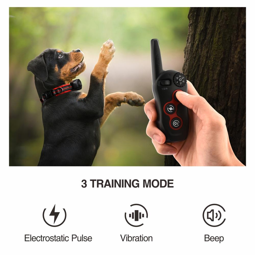 Rechargeable Dog Electric Collar