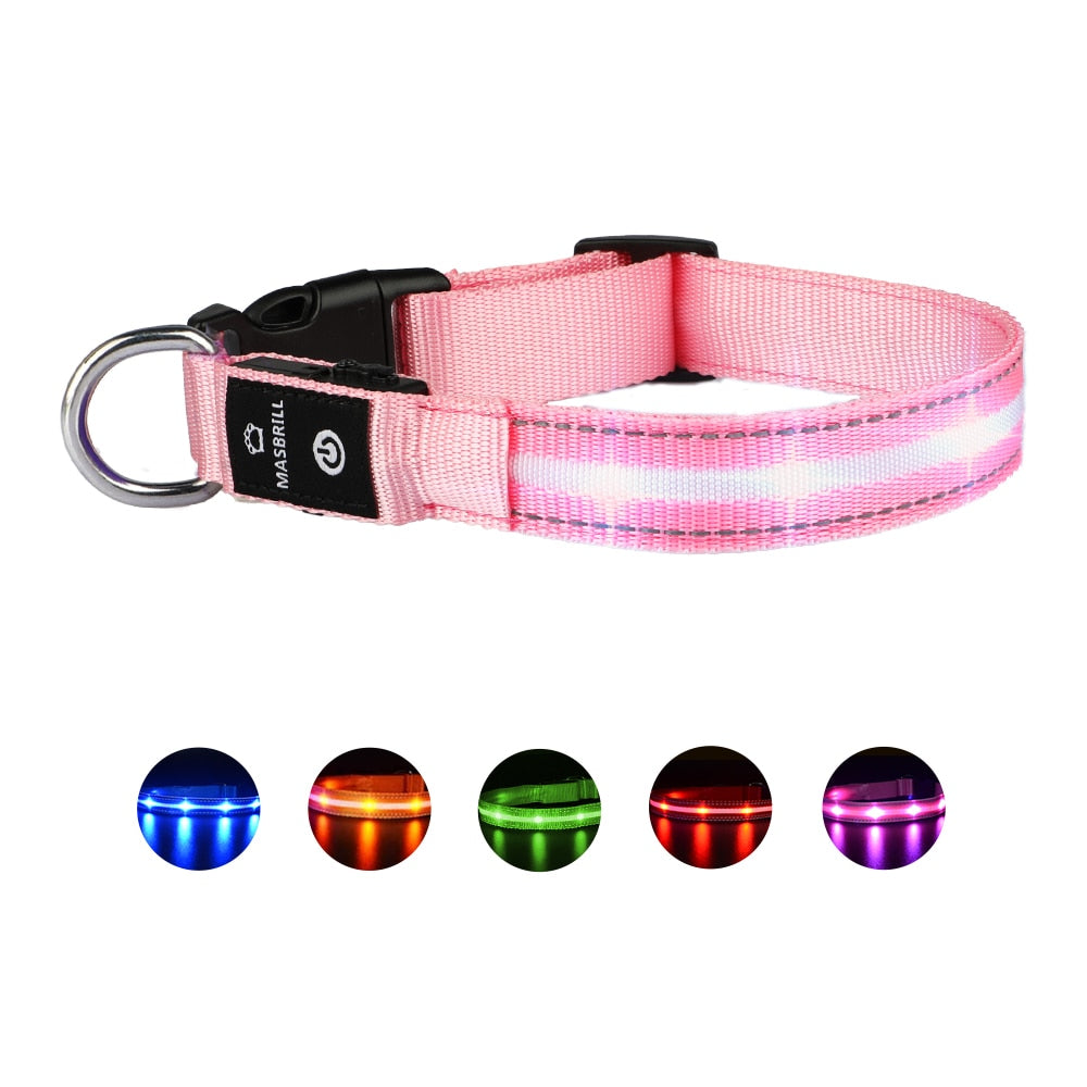 USB Dog LED Glowing Collar