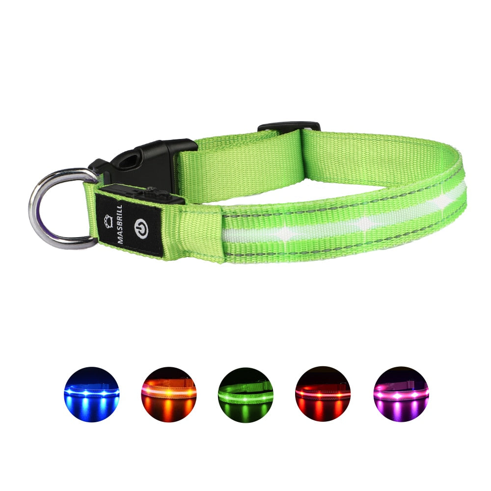 USB Dog LED Glowing Collar