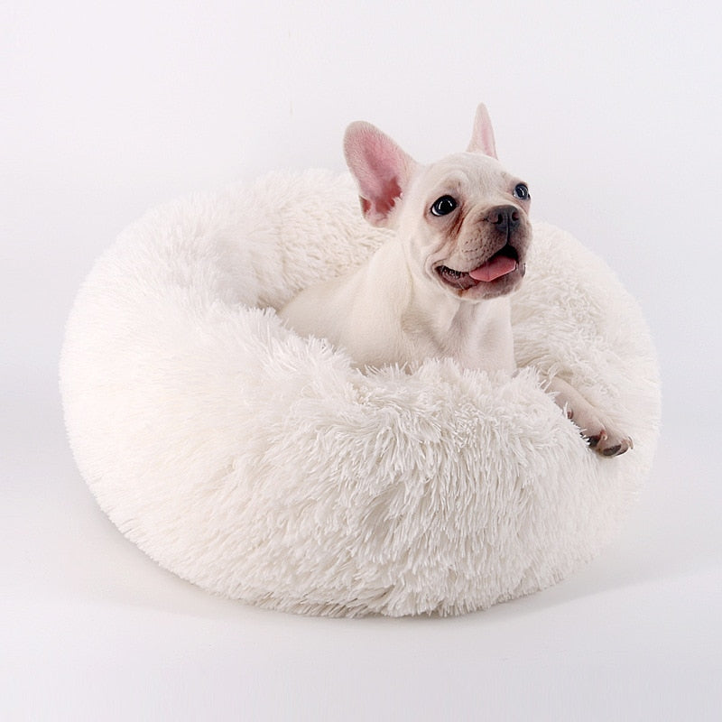 Comfy Calming Dog Bed