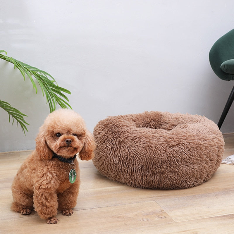 Comfy Calming Dog Bed