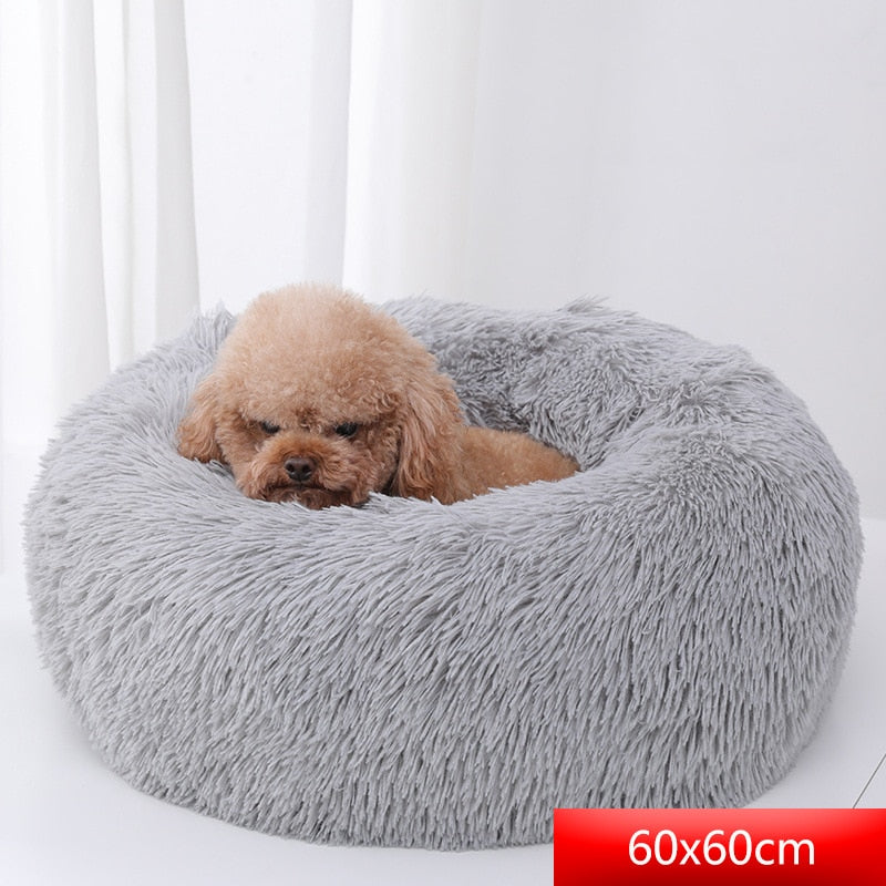 Comfy Calming Dog Bed