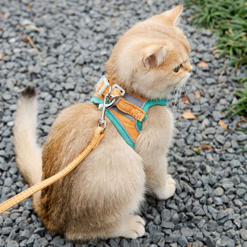 VIP Cat Harness Leash Set