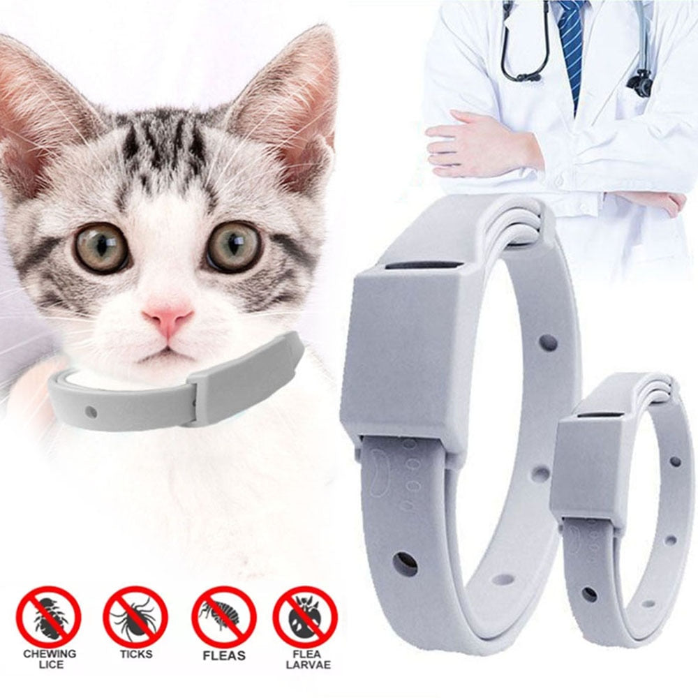 Dog Anti Flea Tick Collar