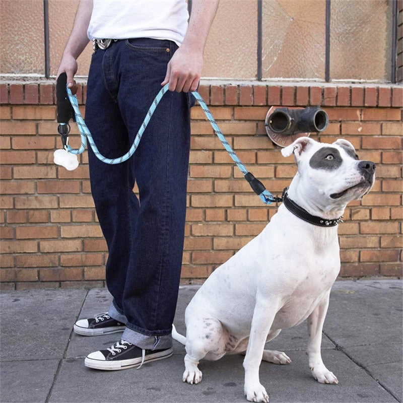 Dog Long Reflective Leash