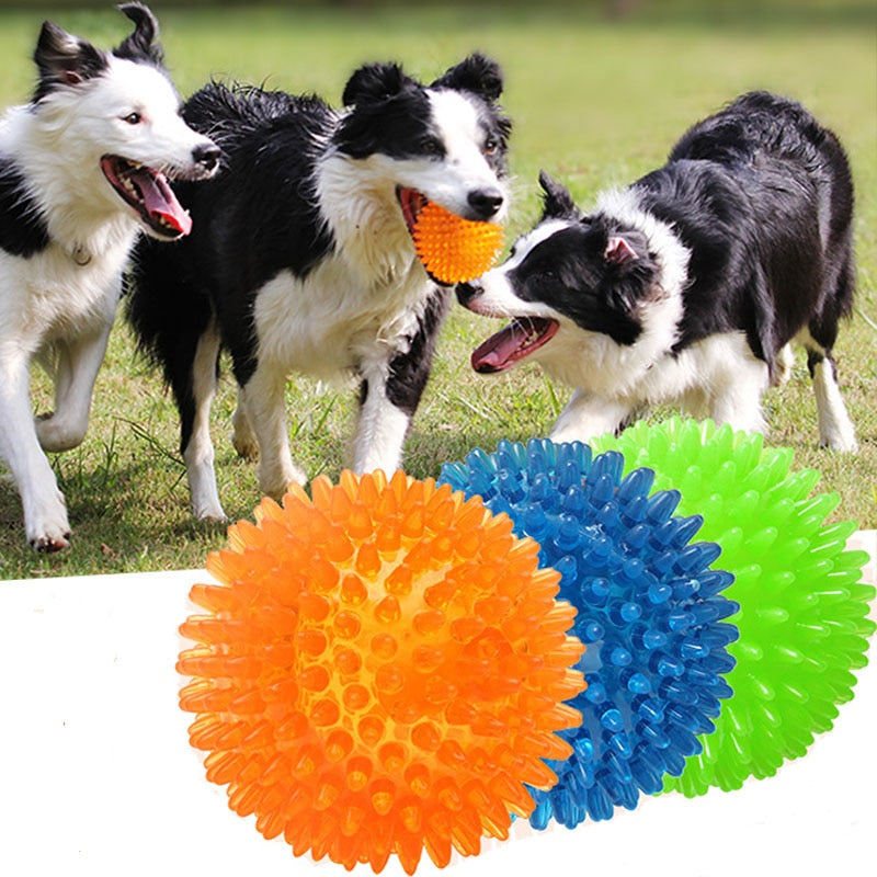 Squeaky Ball Dog Chewing Toys