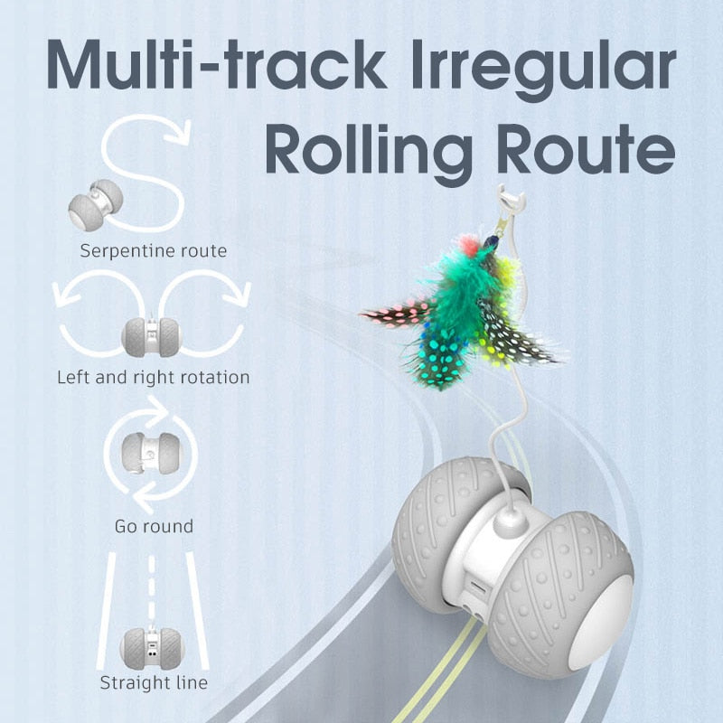 Electric Rolling Pet Toy