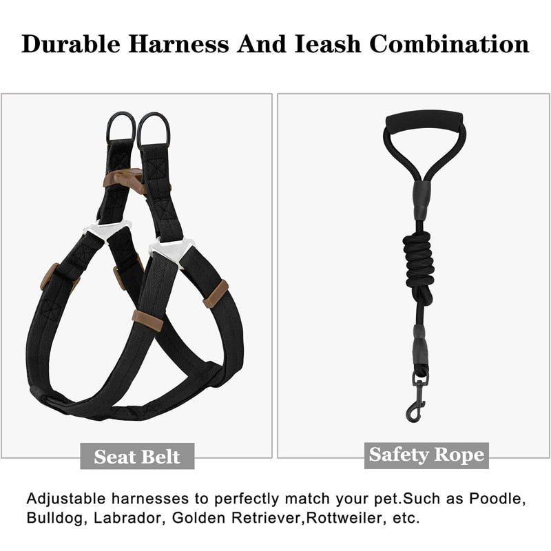 No Pull Dog Harness Leash