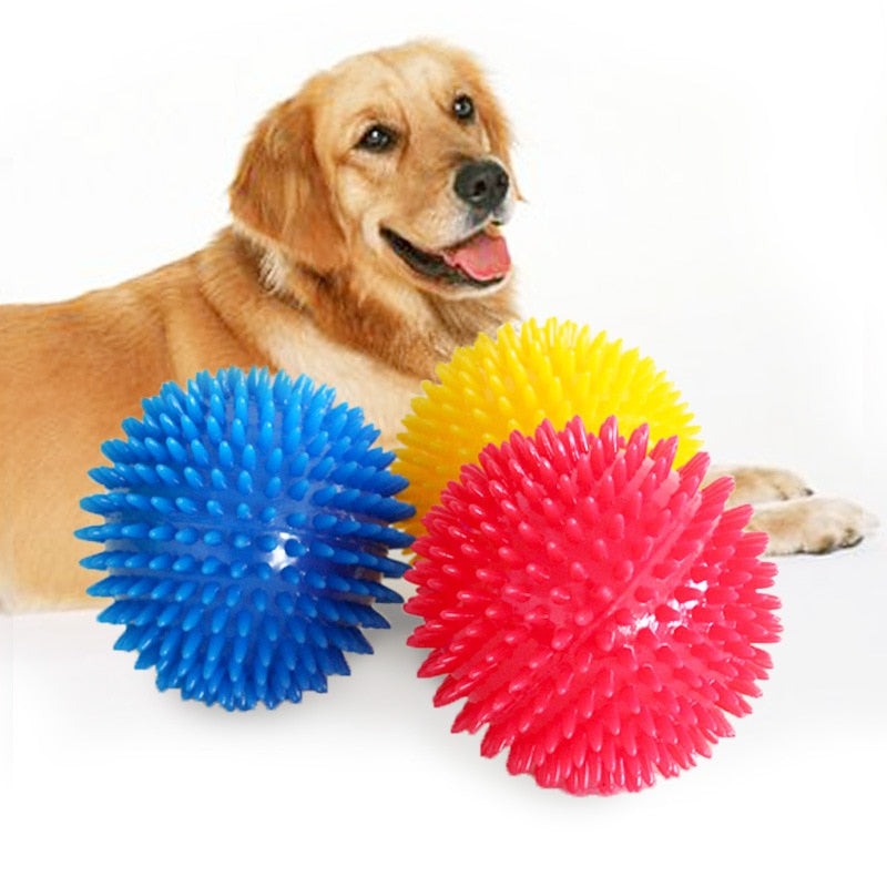 Squeaky Ball Dog Chewing Toys