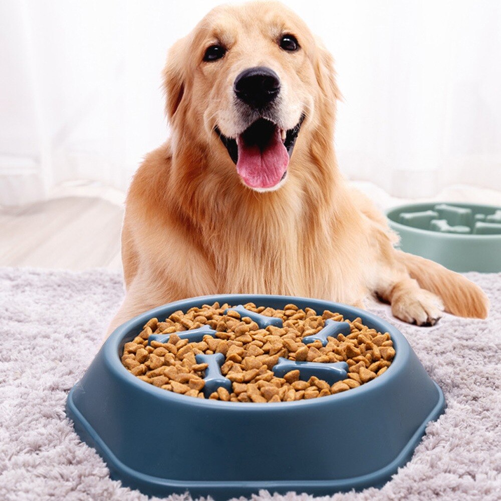 Dog Slow Down Eating Feeder Bowl