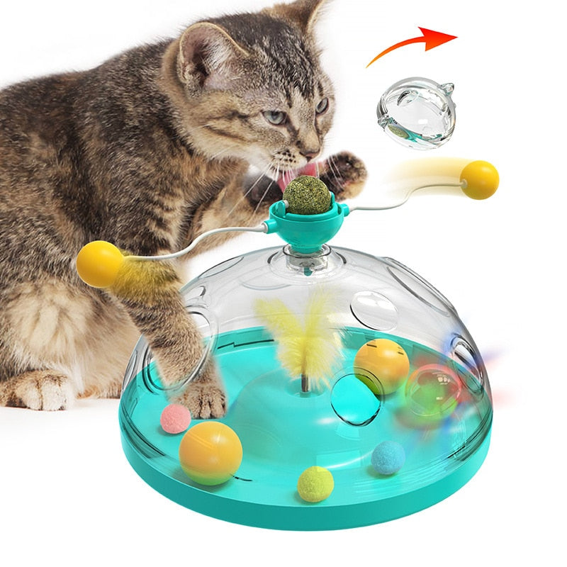 Rotating Cat Toy Training