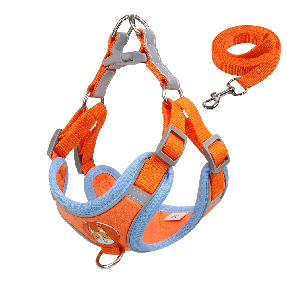 Pet Dog Harness and Leash Set