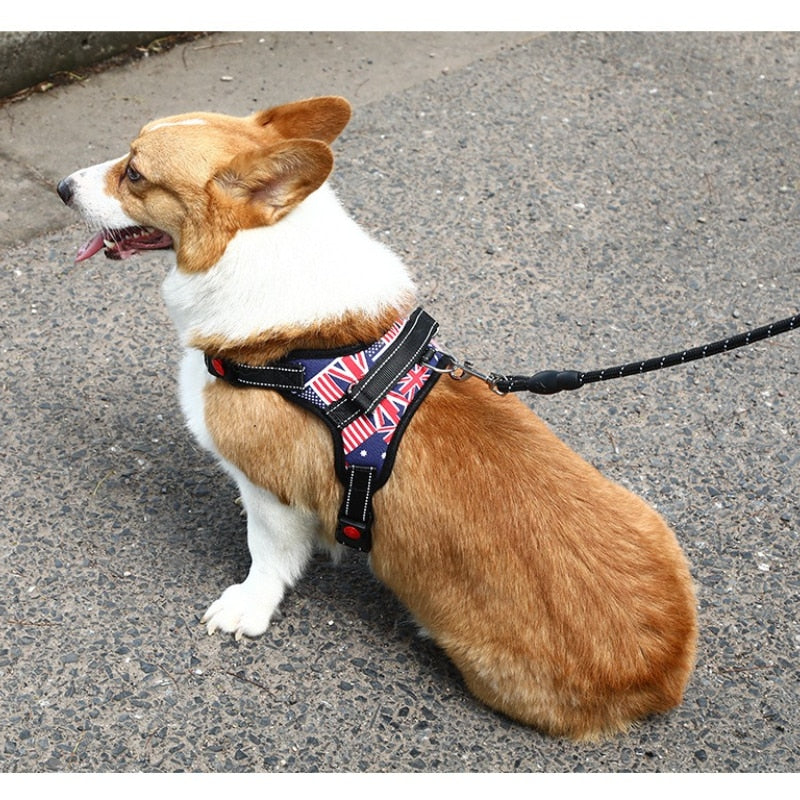 Dog Harness Collar