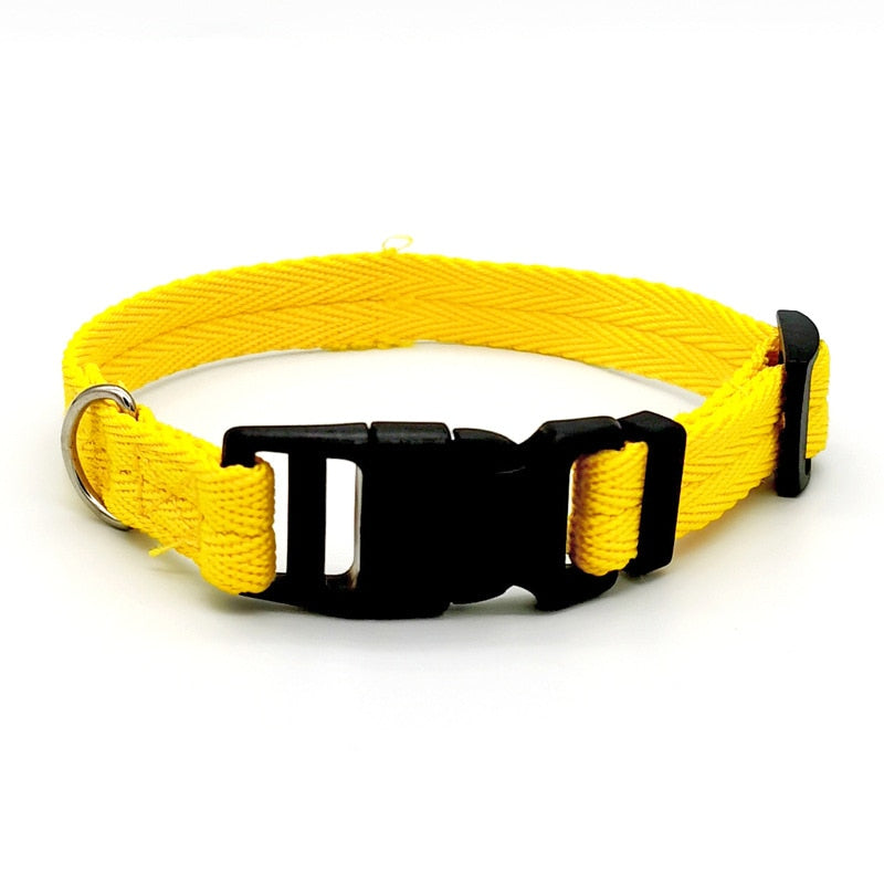 Quickly Disengaged Dog Training Collar