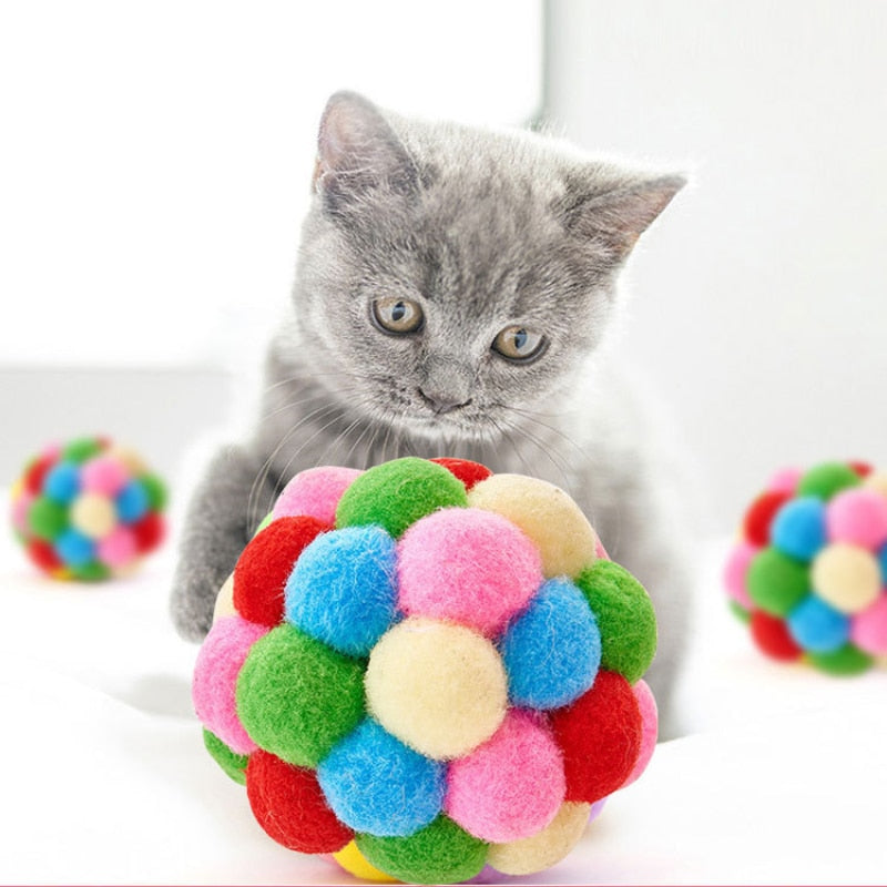 Cat Self-excited Ball