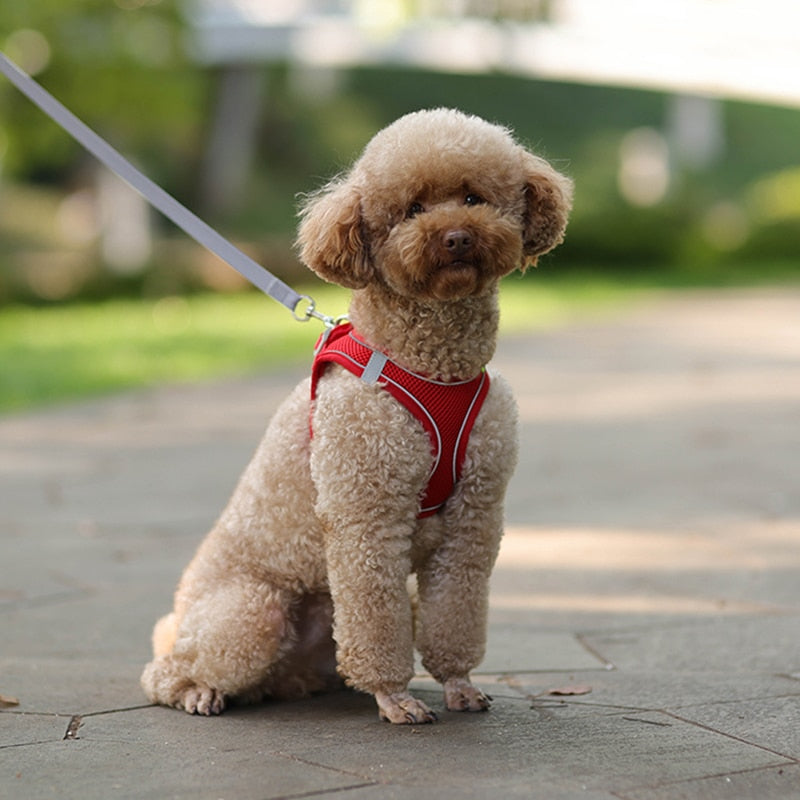 Adjustable Puppy Cat Harness Vest