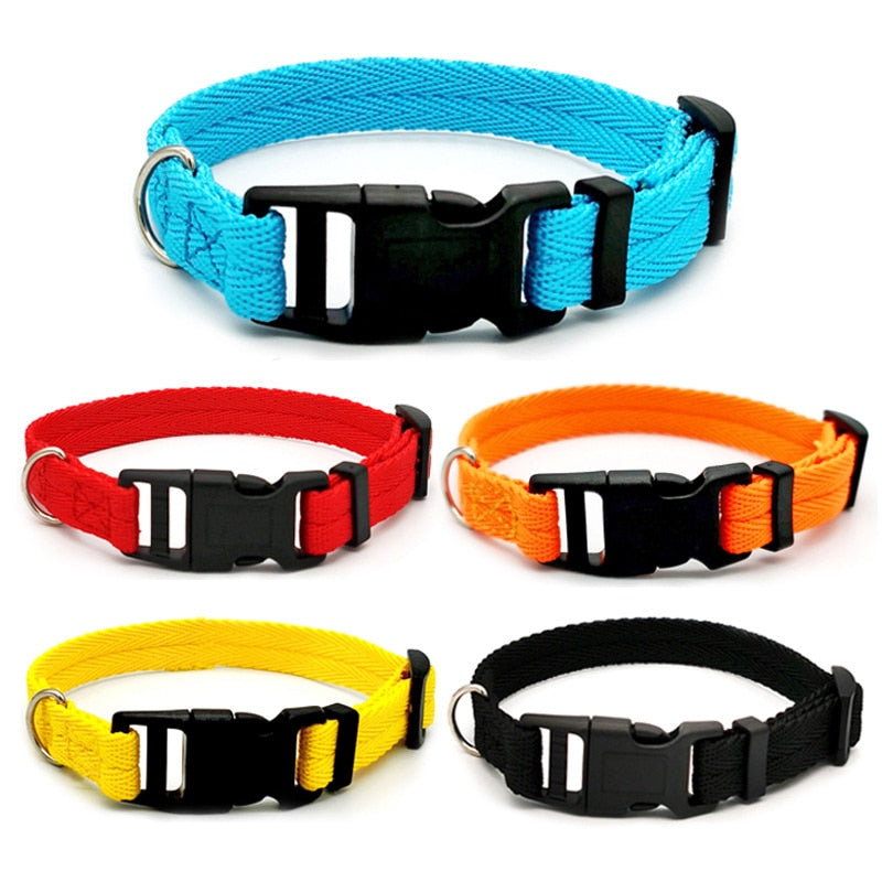 Quickly Disengaged Dog Training Collar