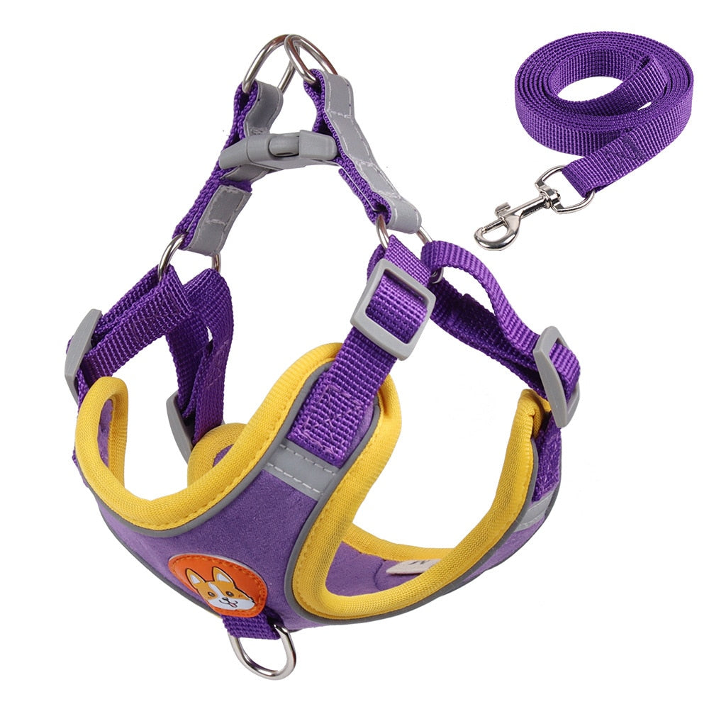 Pet Dog Harness and Leash Set