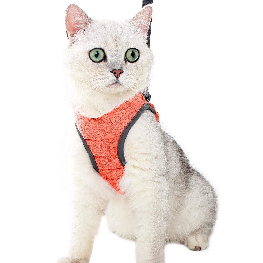 Adjustable Anti-Escape Cat Kitten Harness