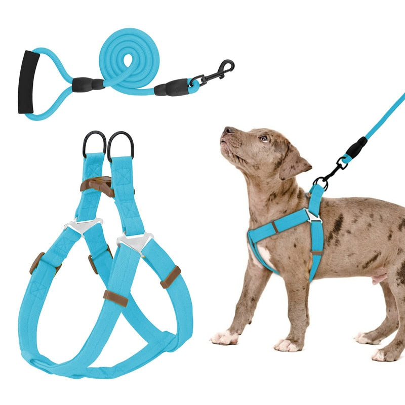 No Pull Dog Harness Leash