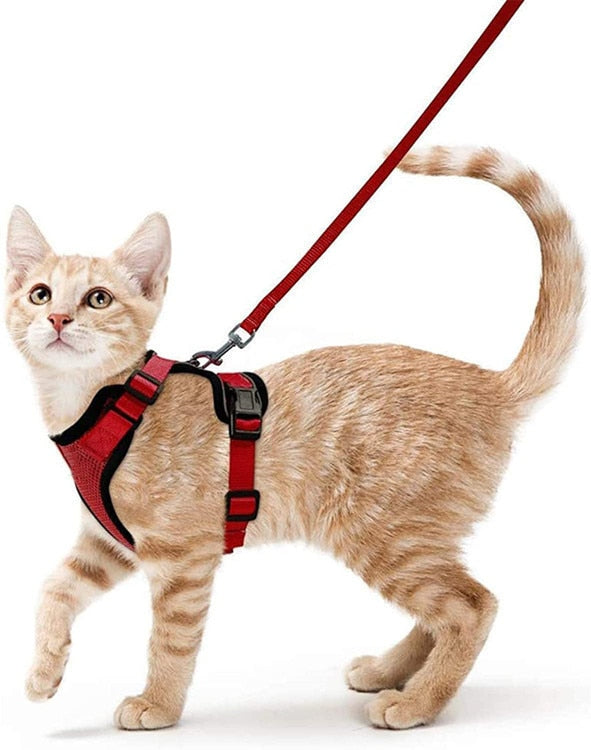 Reflective Cat Harness