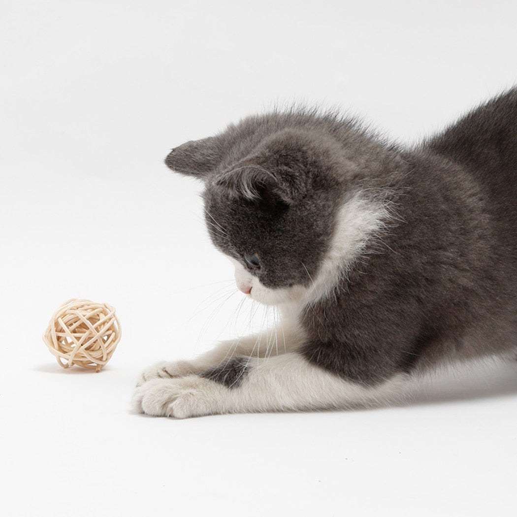 Cat Toy Pet Rattan Ball