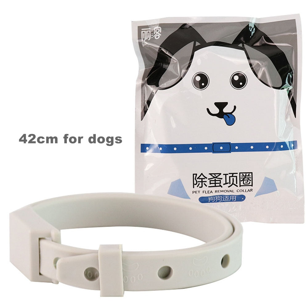 Dog Anti Flea Tick Collar