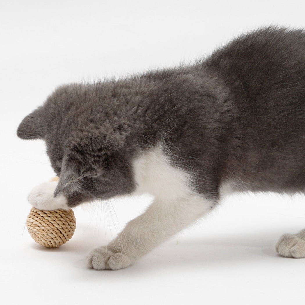 Cat Toy Pet Rattan Ball