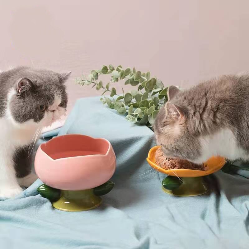 Flower Ceramic Cat Bowl