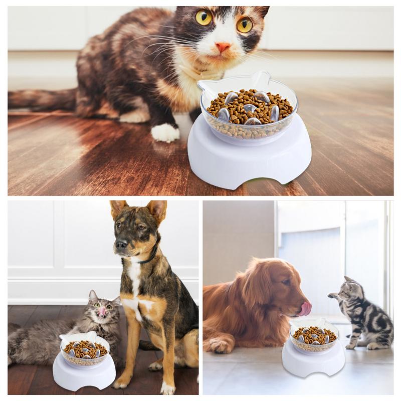 Pet Slow Eating Bowl