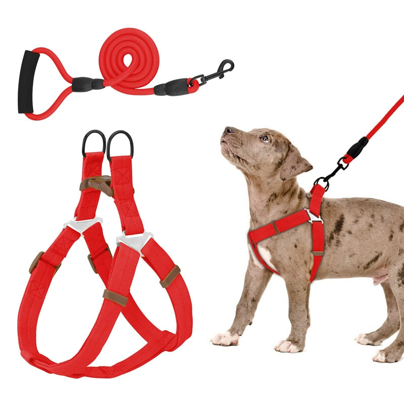 No Pull Dog Harness Leash