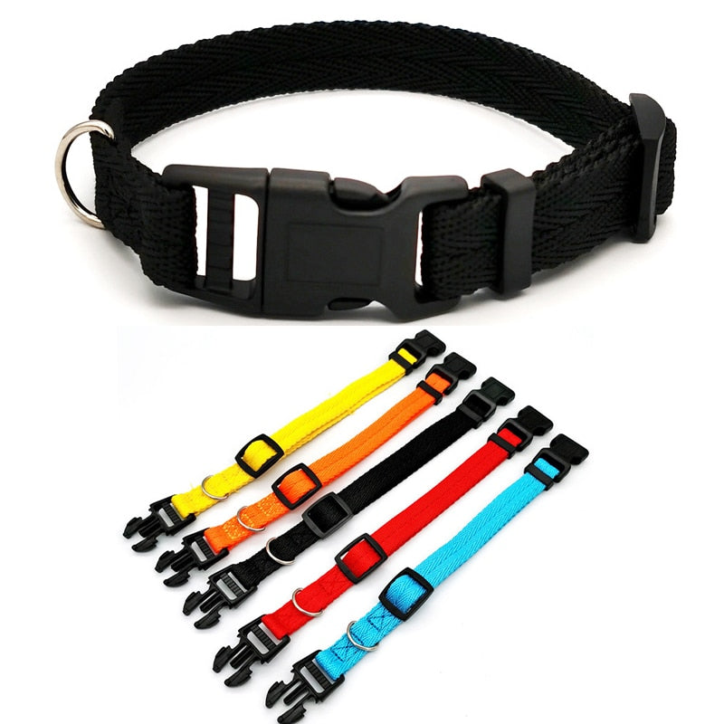 Quickly Disengaged Dog Training Collar