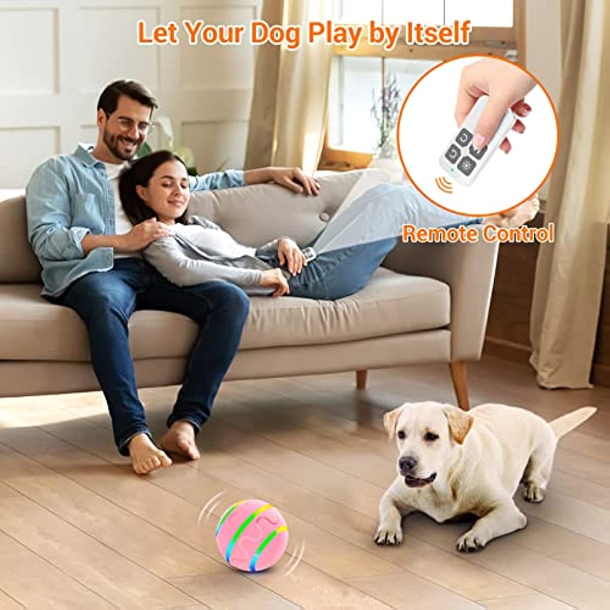 Remote Control Ball Dog Chew Toy