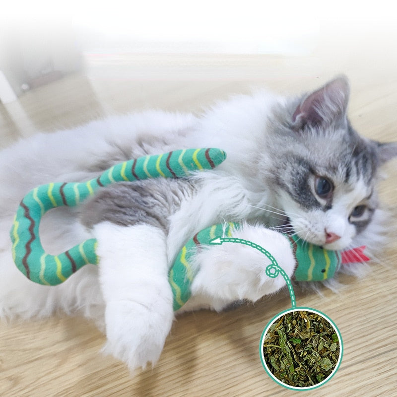 Catnip Plush Interactive Toy