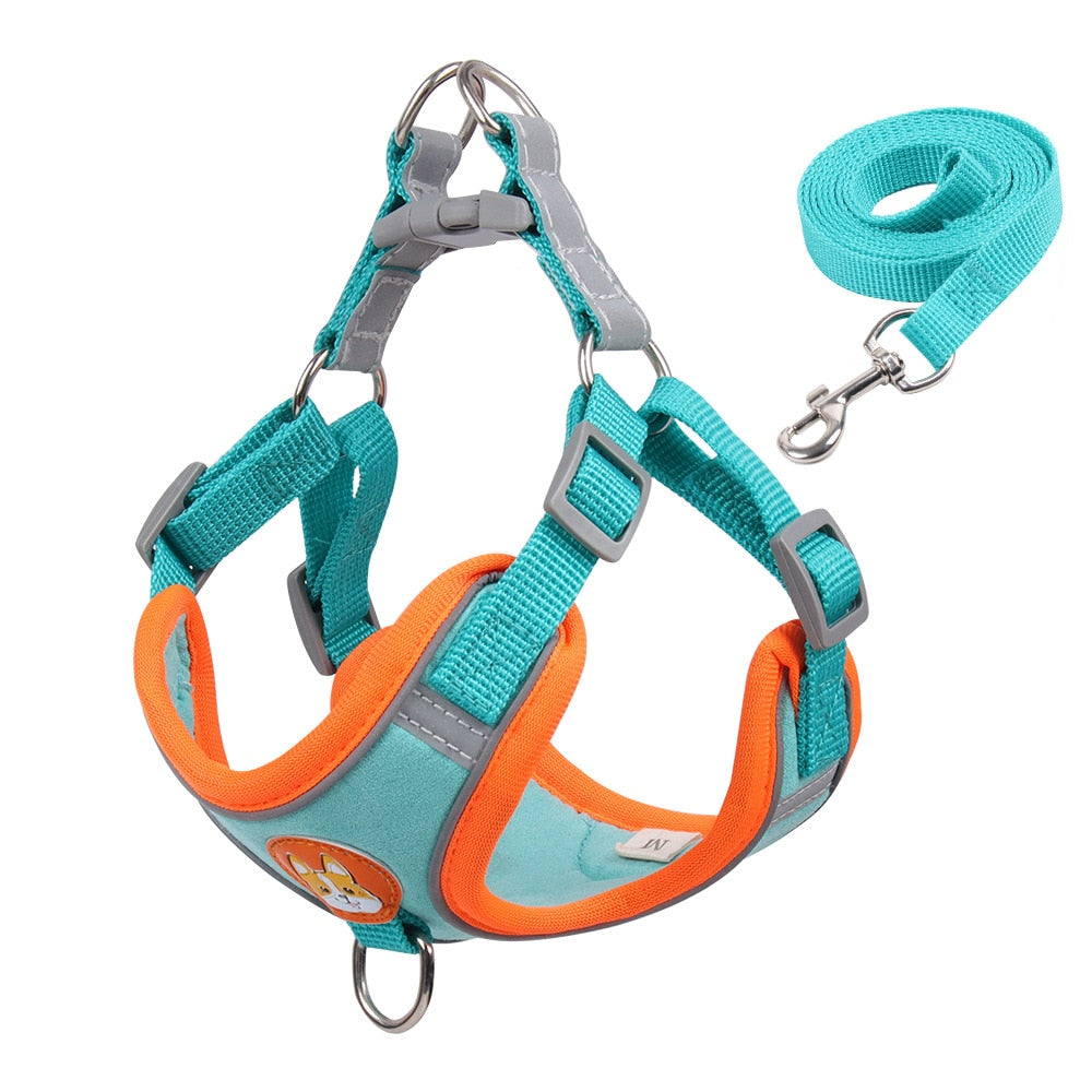 Pet Dog Harness and Leash Set