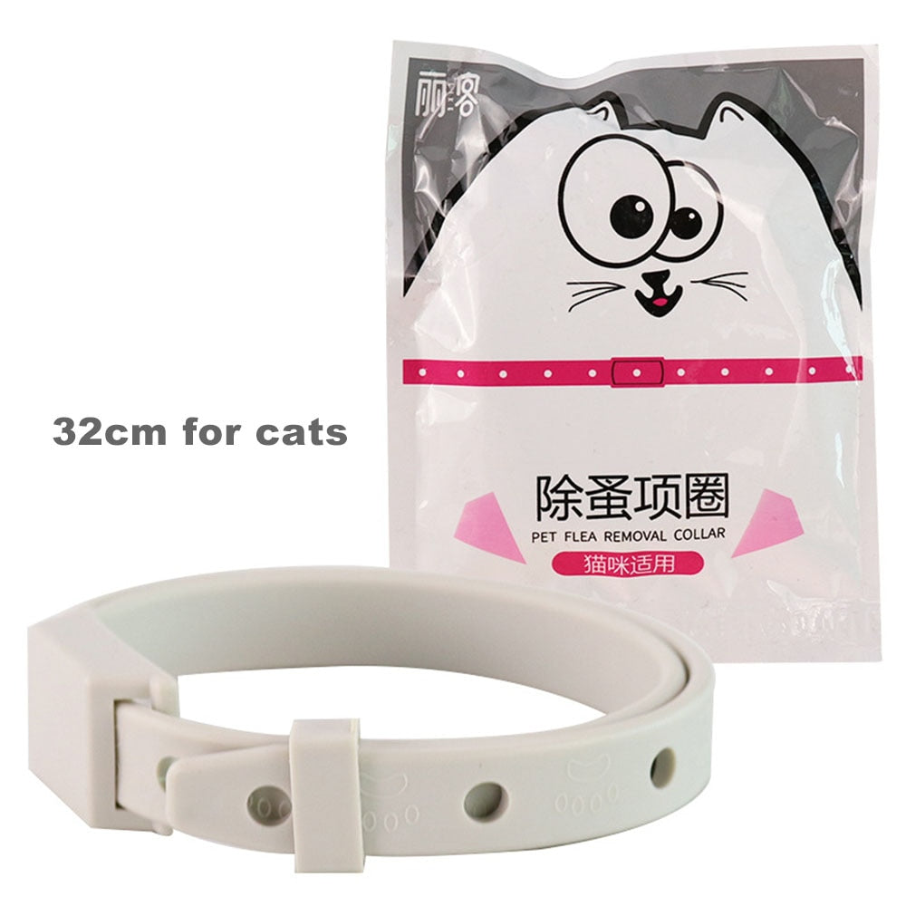 Dog Anti Flea Tick Collar