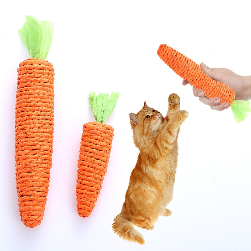 Carrot Pet Cat Toy