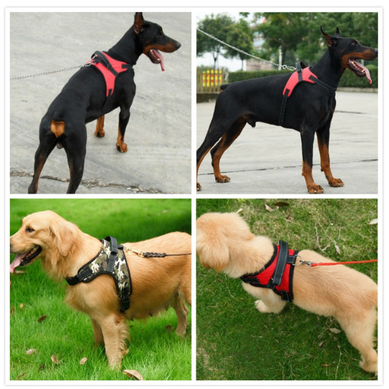 Dog Harness Collar