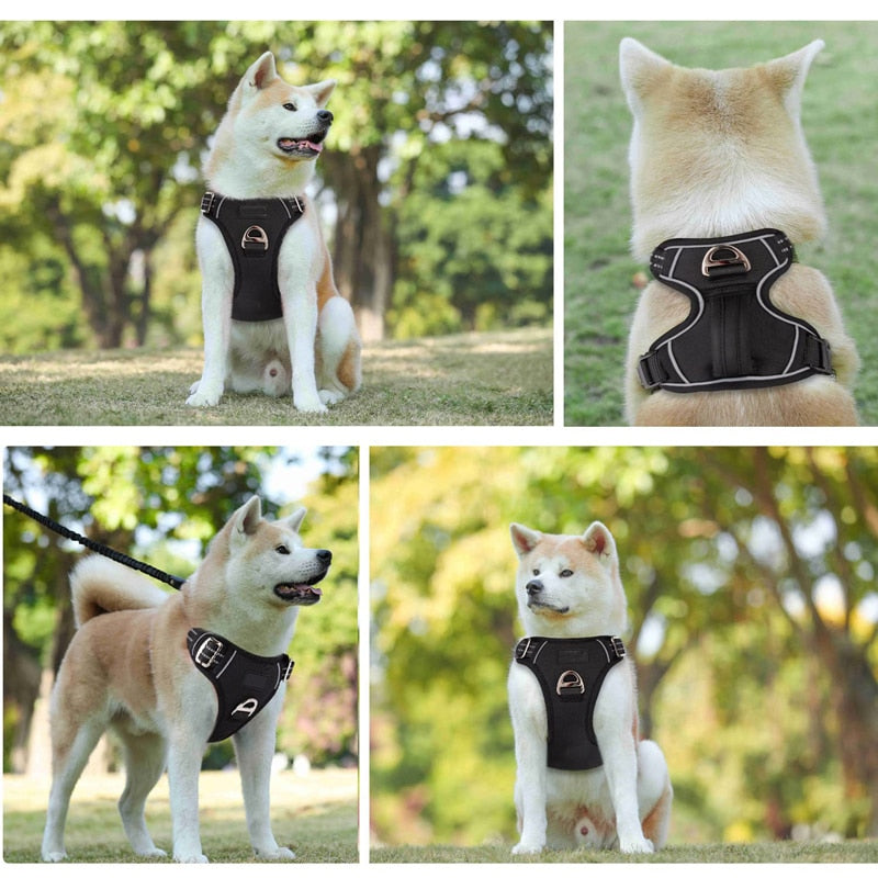 Vest Dog Harness