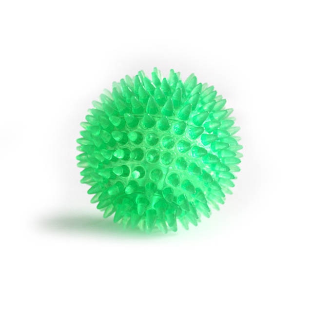 Squeaky Ball Dog Chewing Toys